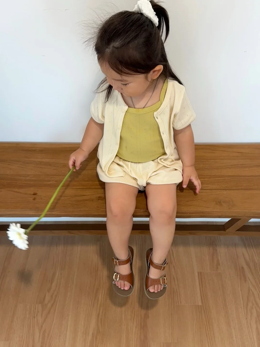 케이크 프로젝터 6