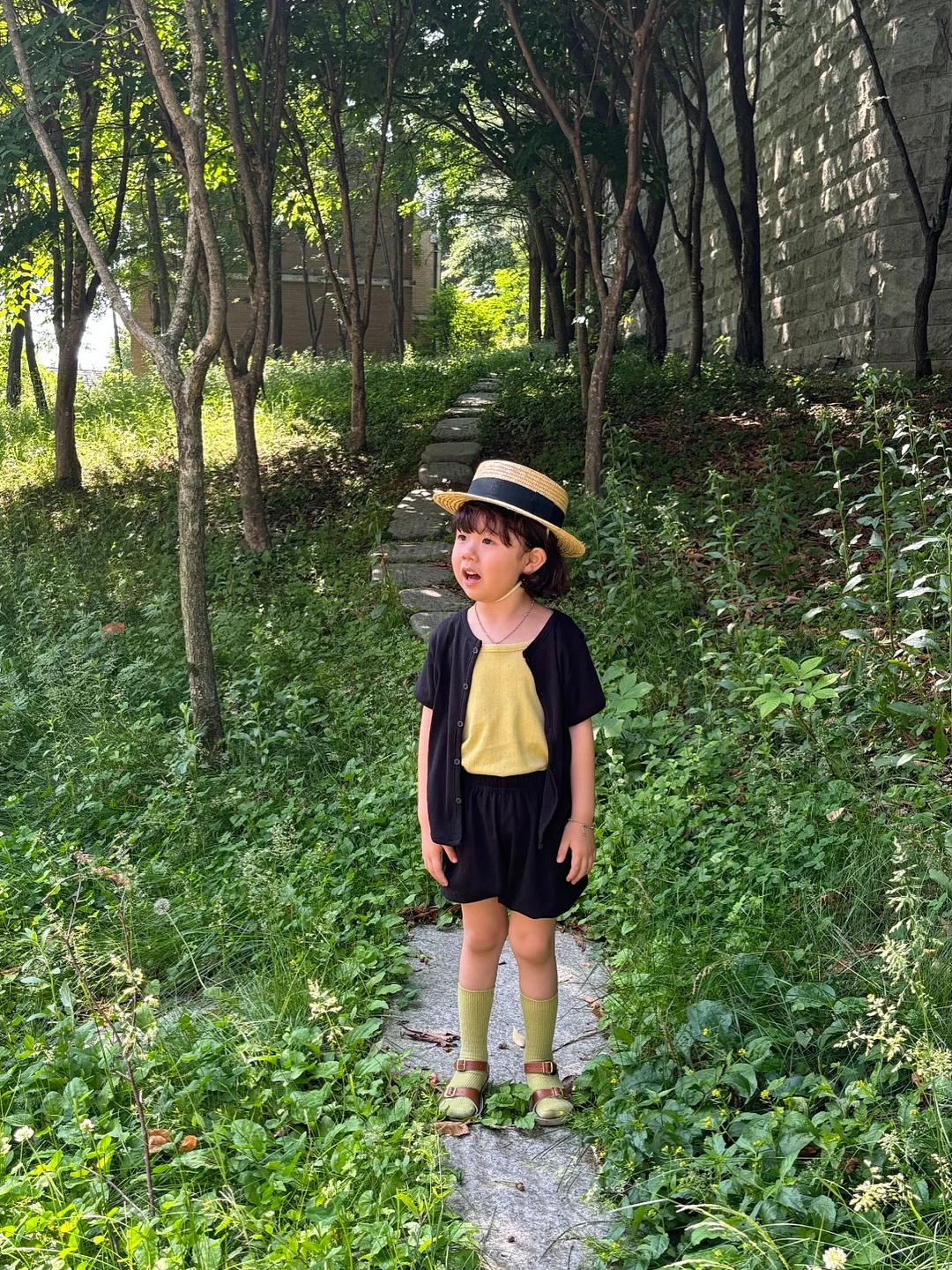 케이크 프로젝터 8