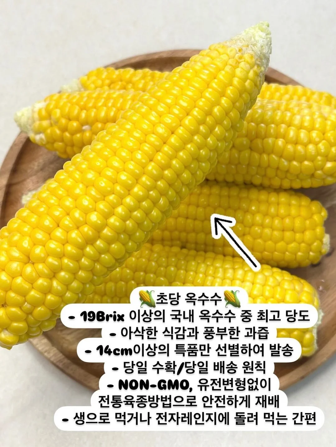 홈캠 3