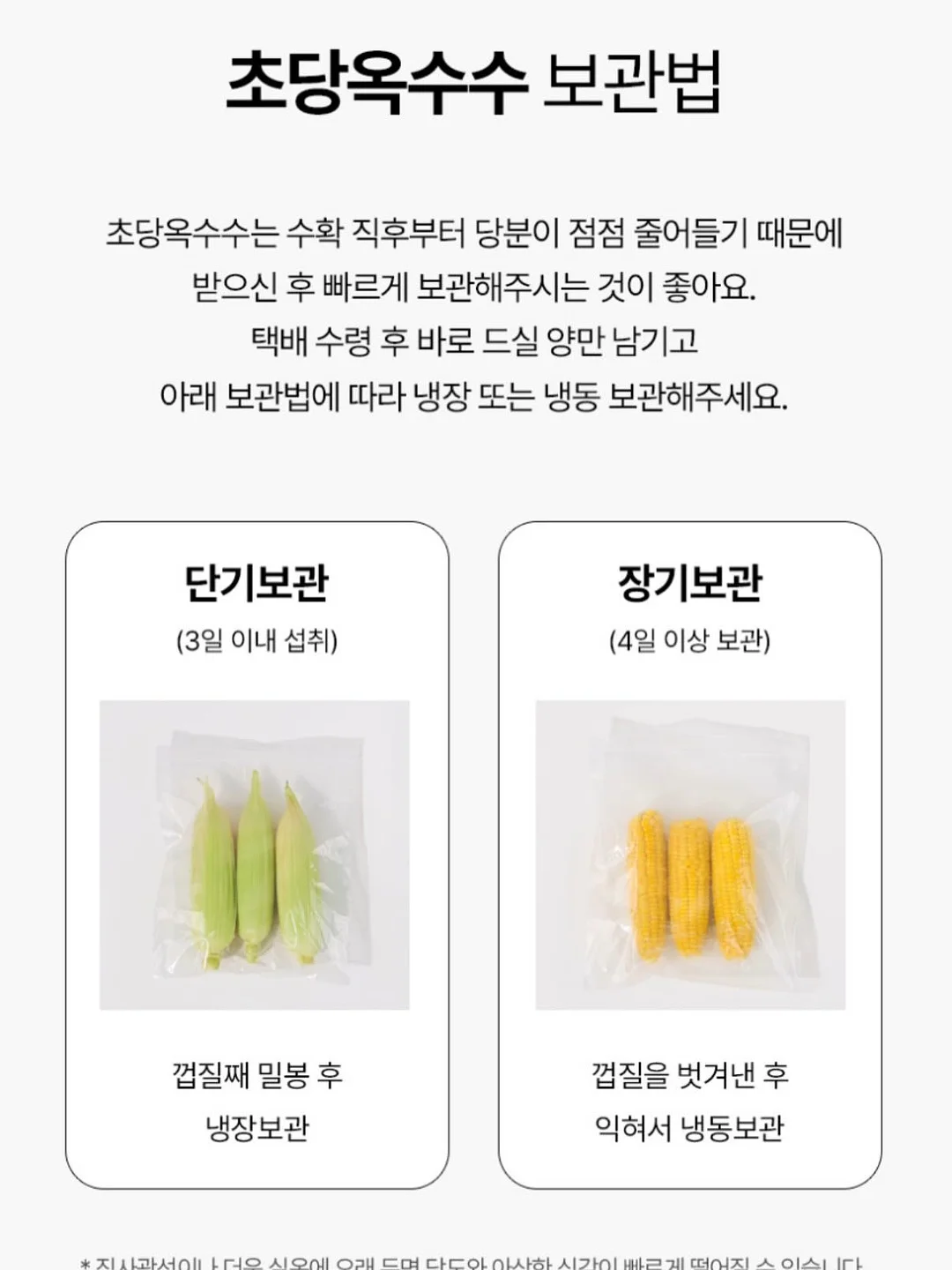 홈캠 10