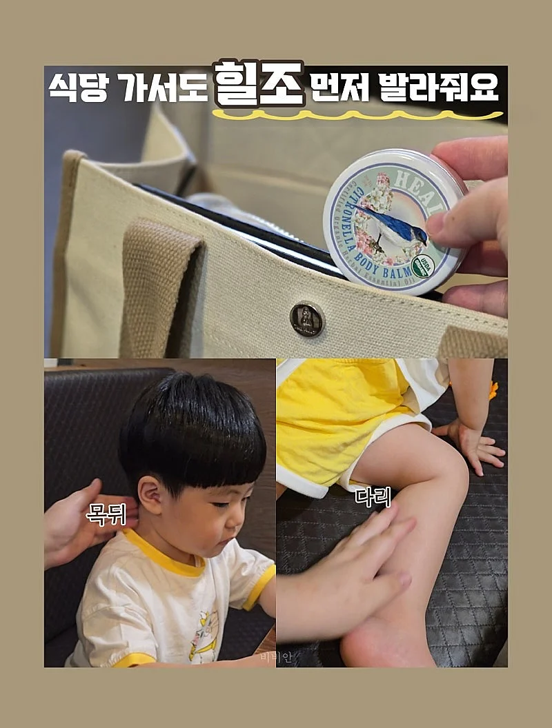 명이나물 6