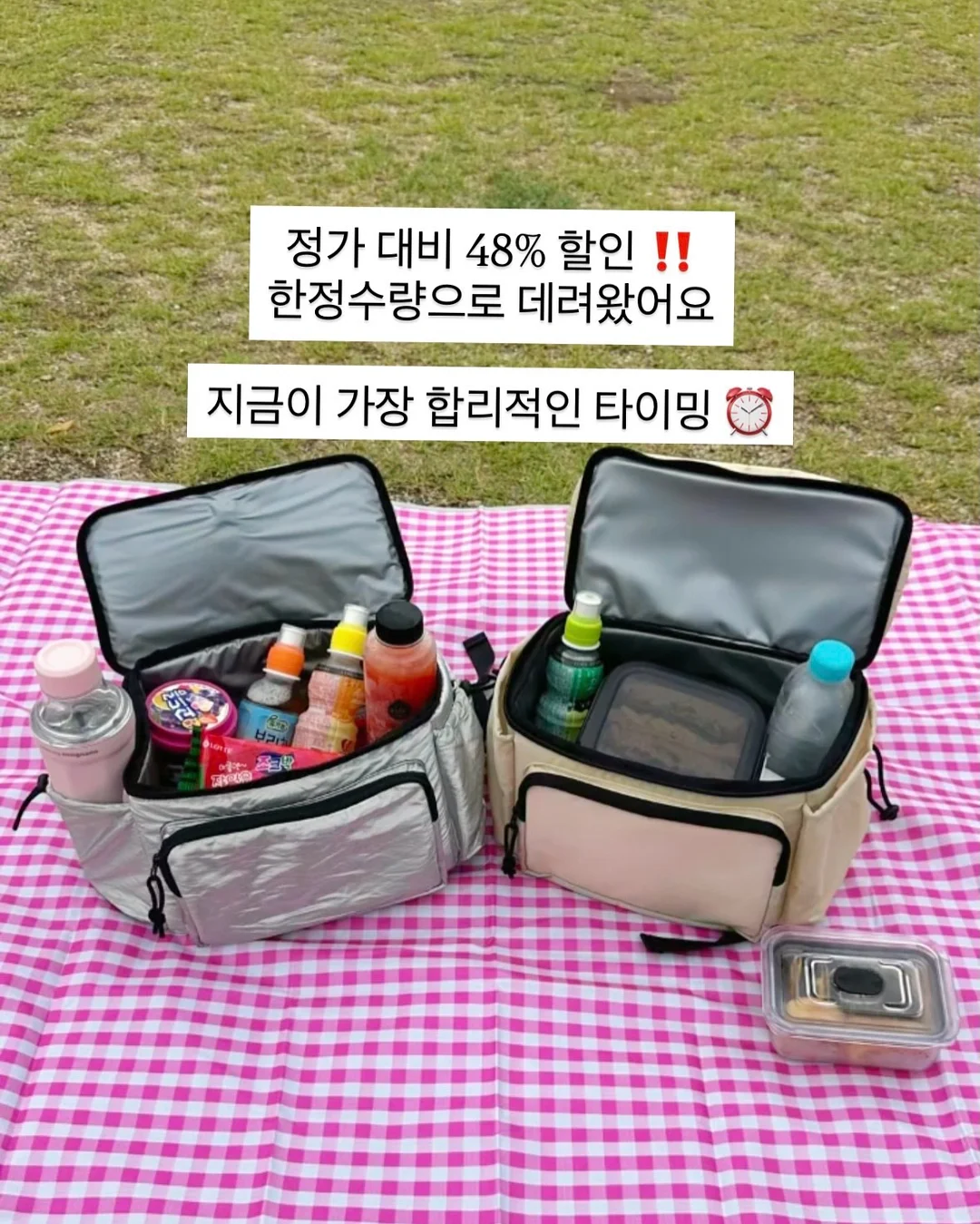 낙산균 3