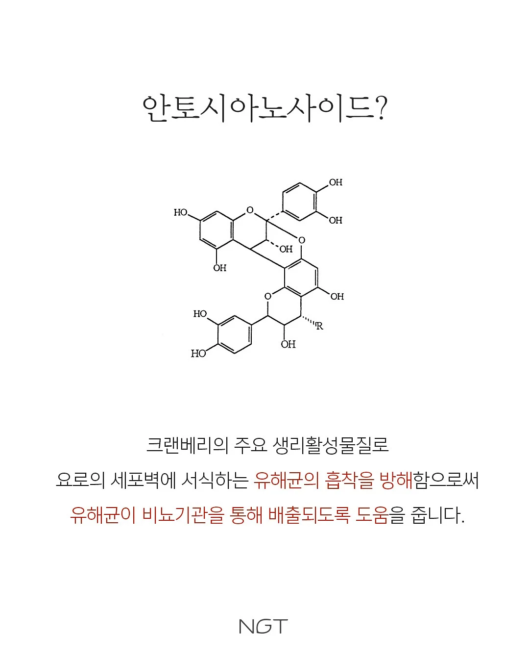 시작버튼 키캡키링 7