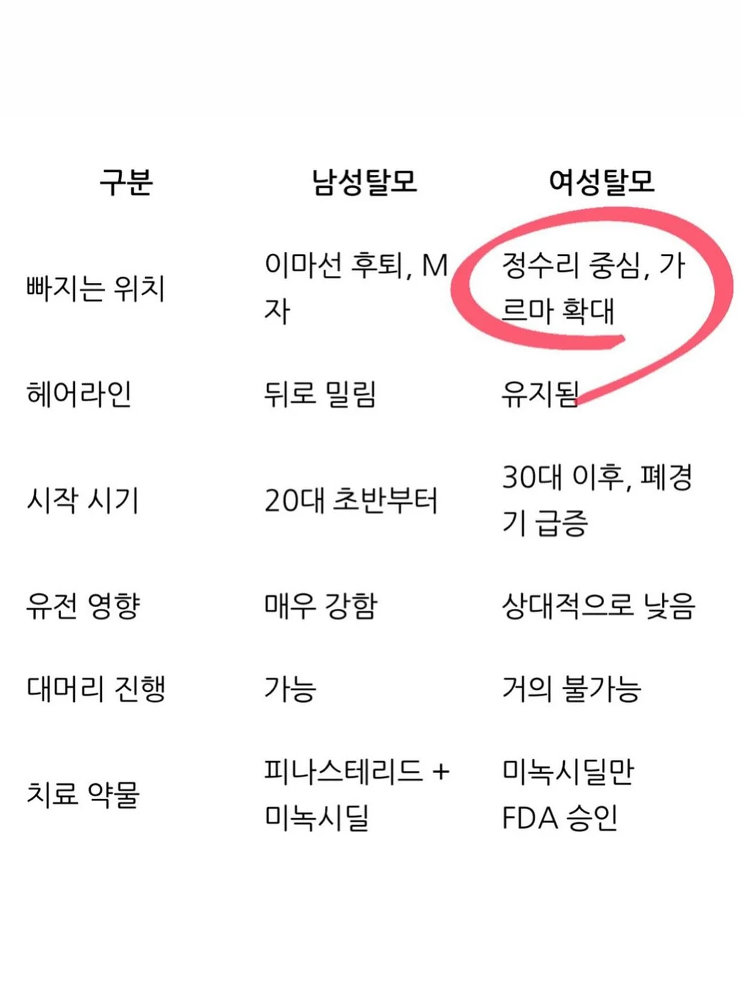 베베치치 3