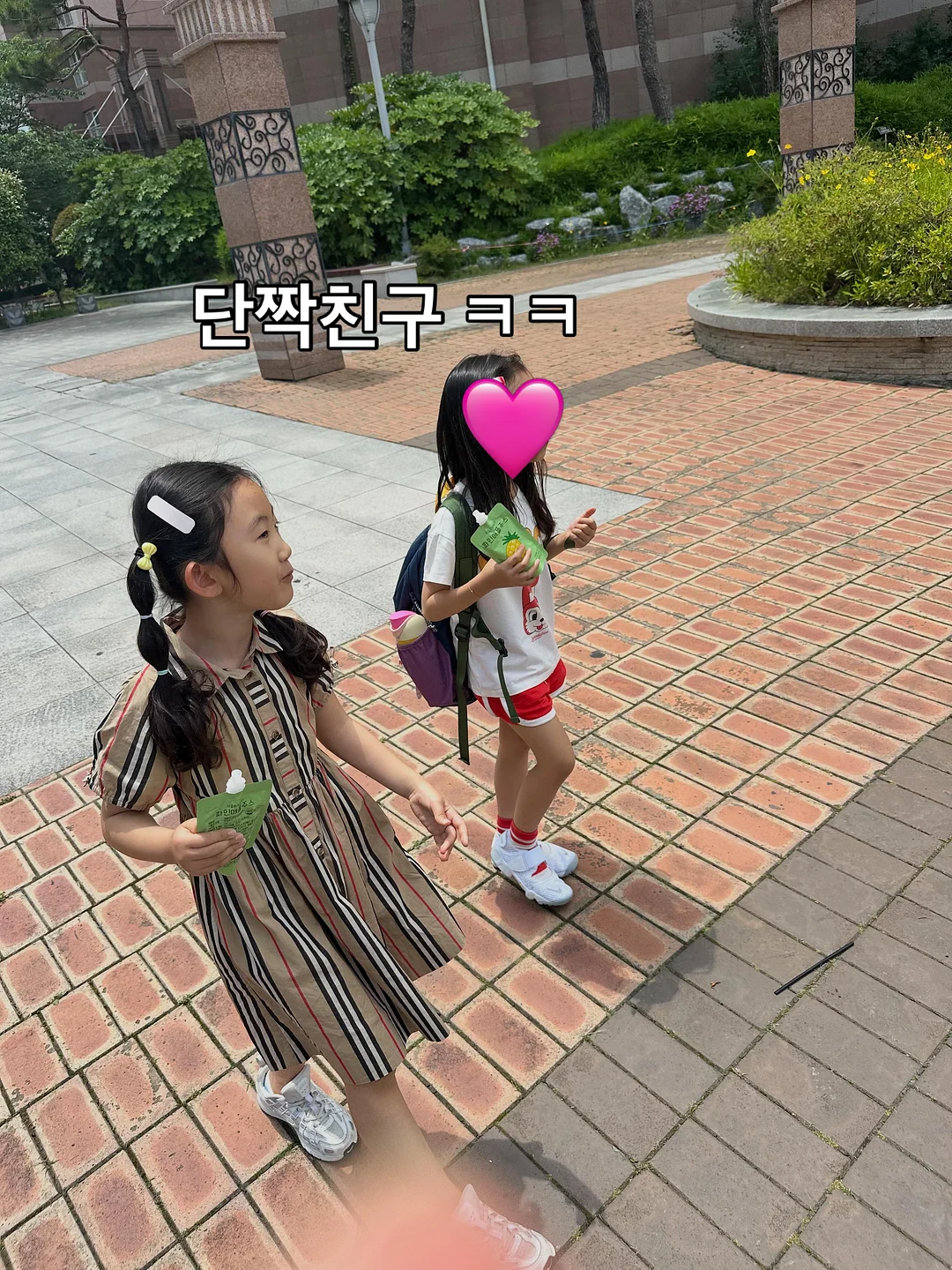 제주 블러드 오렌지 7