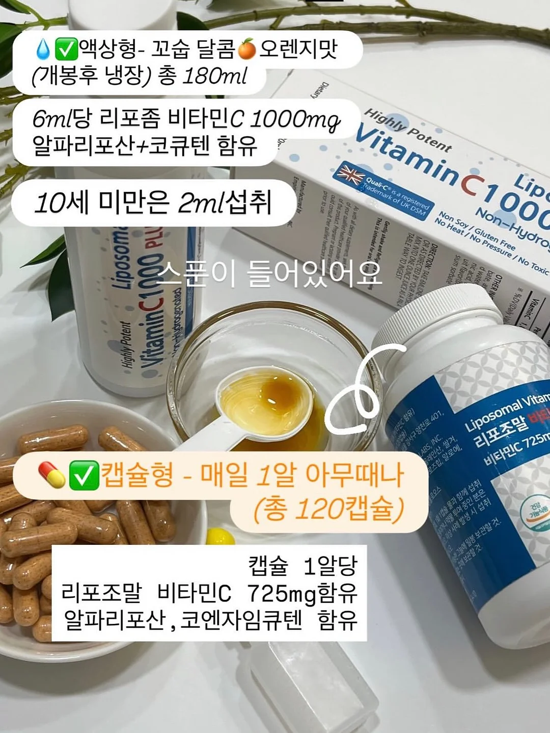 줄리 하트 리본 12