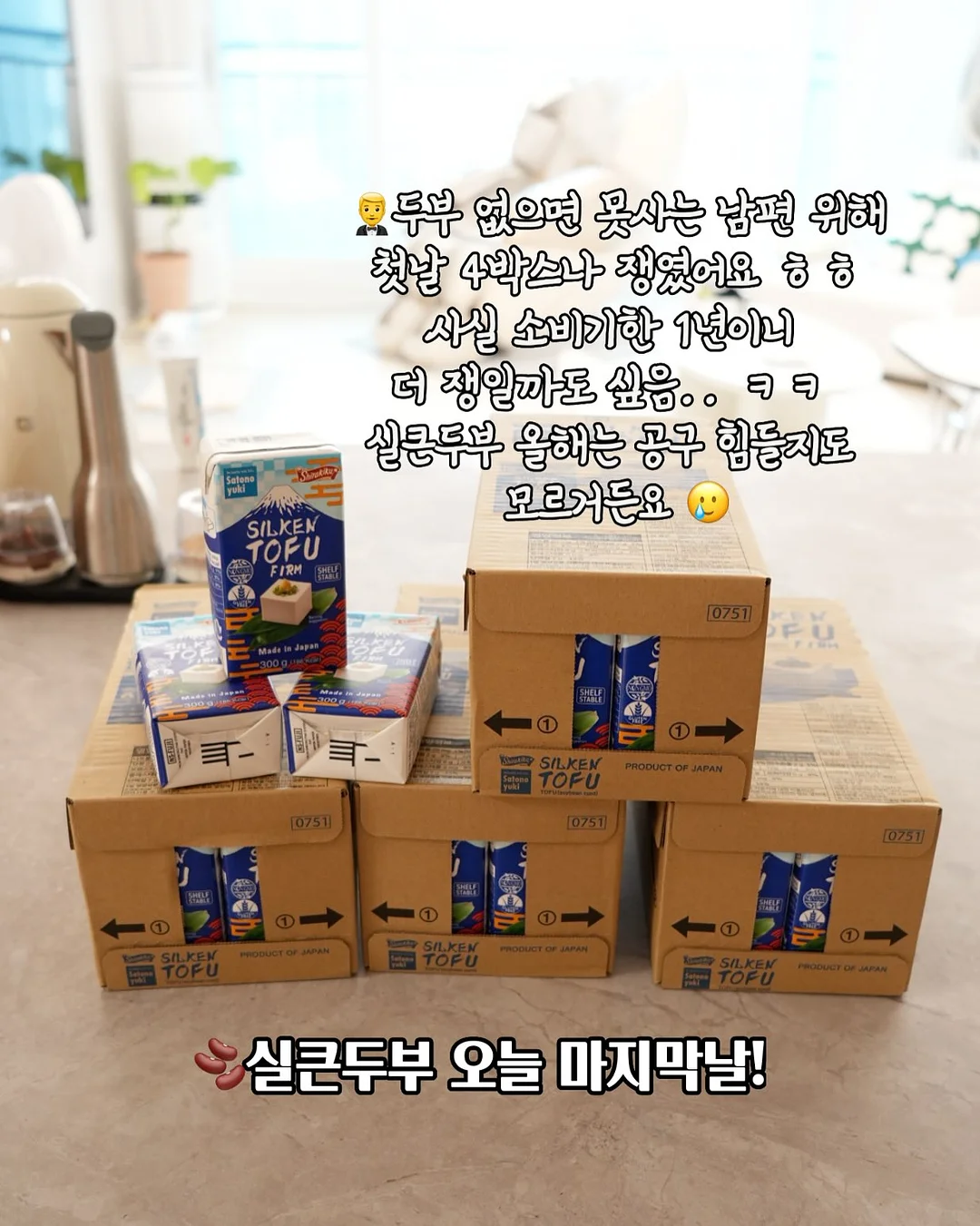 종이침대 1