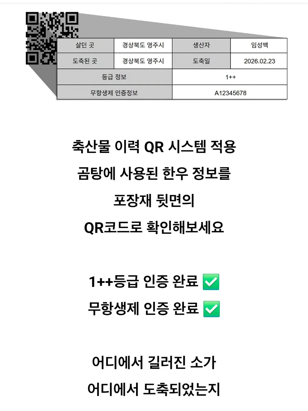 롱안부 중안부 11