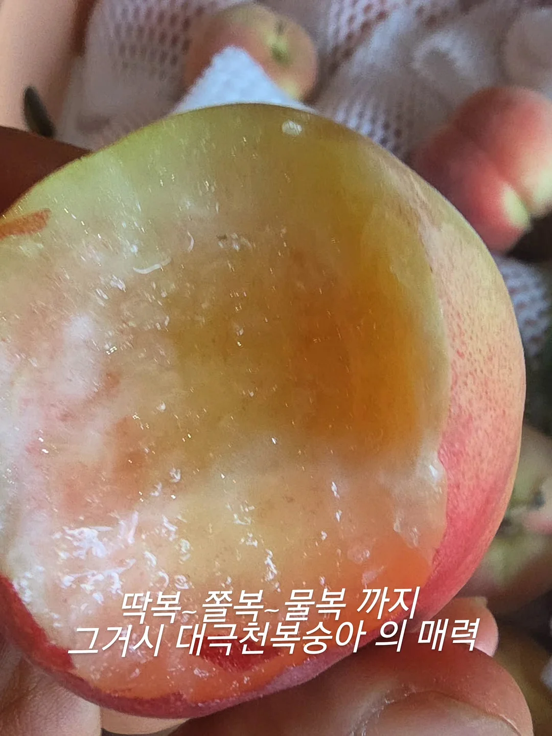 작은다짐기록집, 할방이툰 단행본2권 2