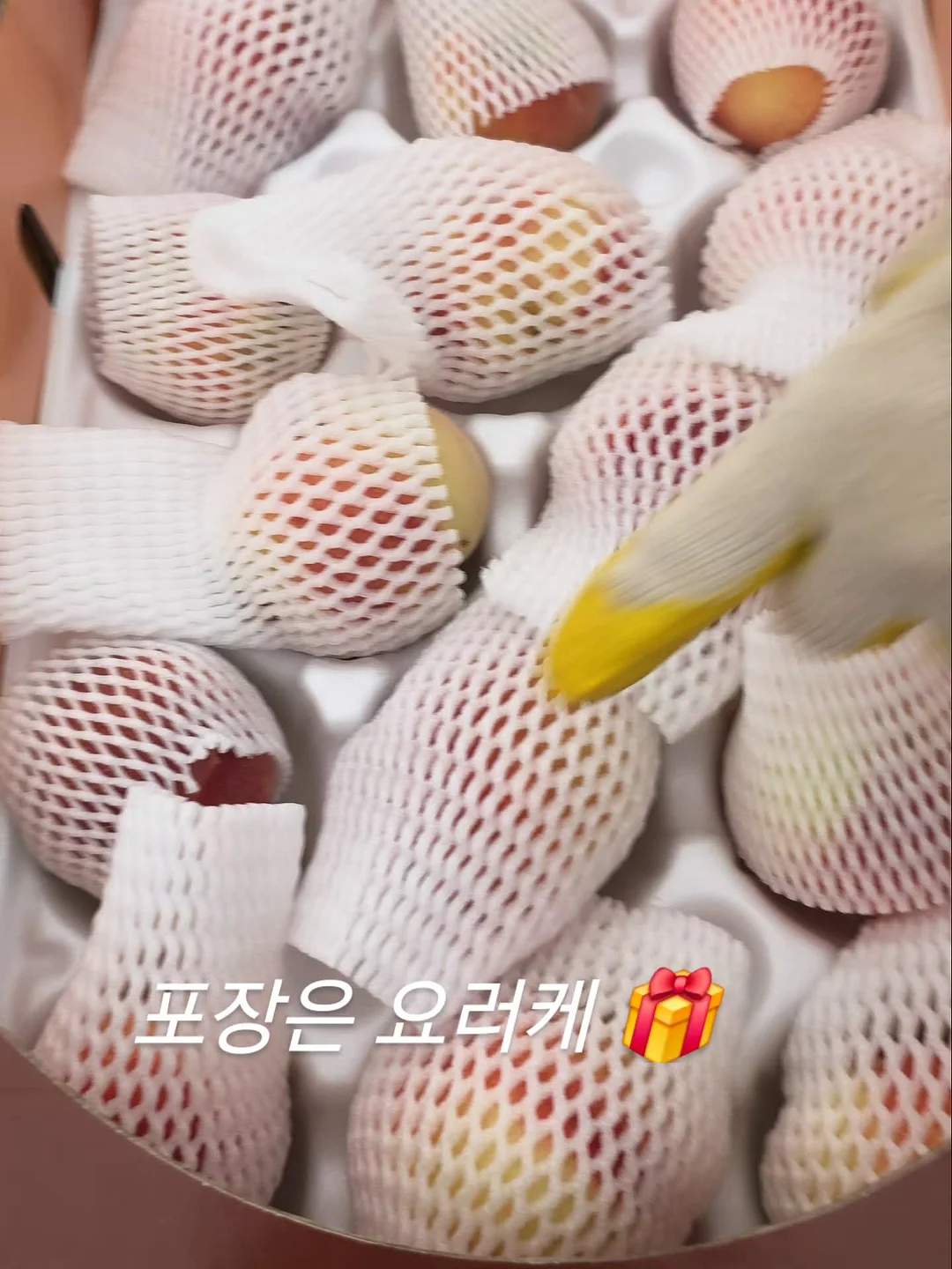 작은다짐기록집, 할방이툰 단행본2권 3