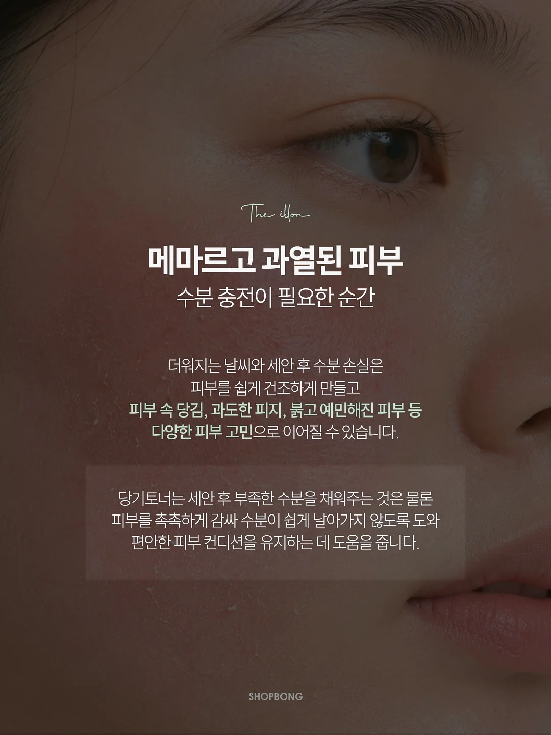 프리다이빙 롱거 & 디퍼 번역서 2