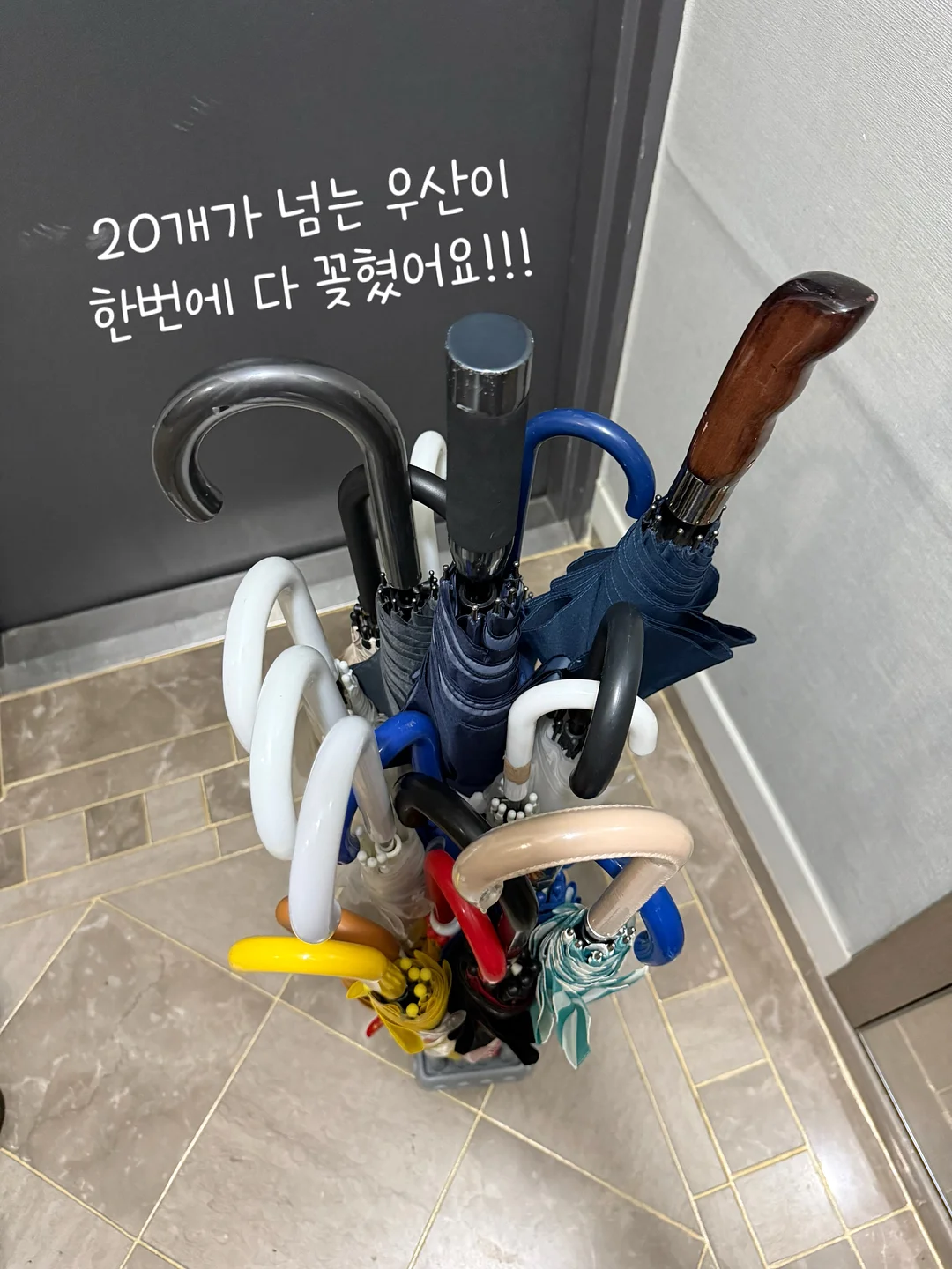 구움과자 4