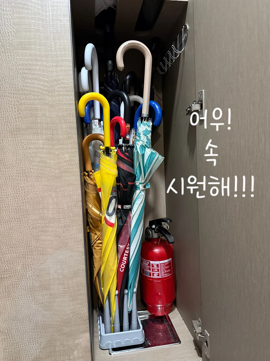 구움과자 5