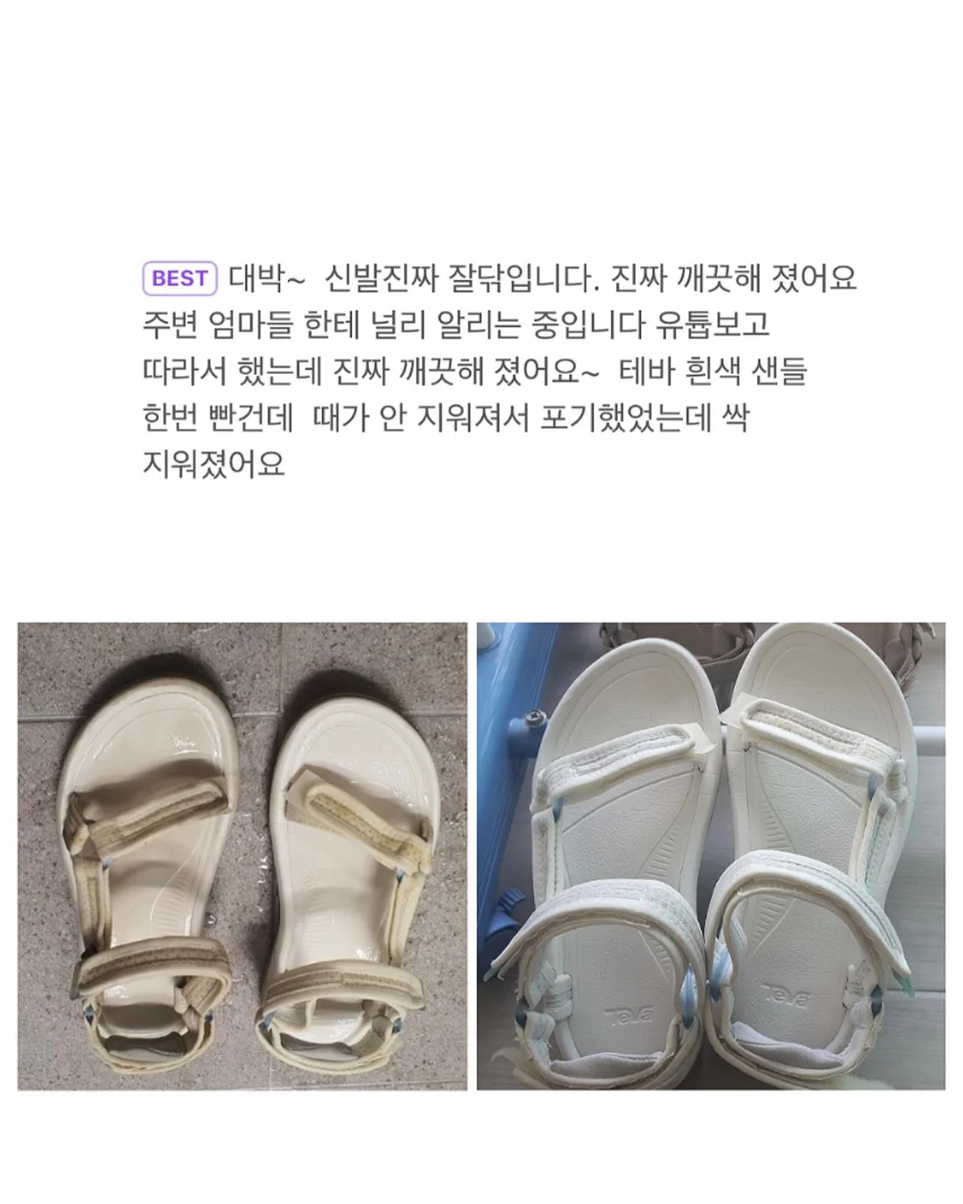 찰녹미 찰보리 18