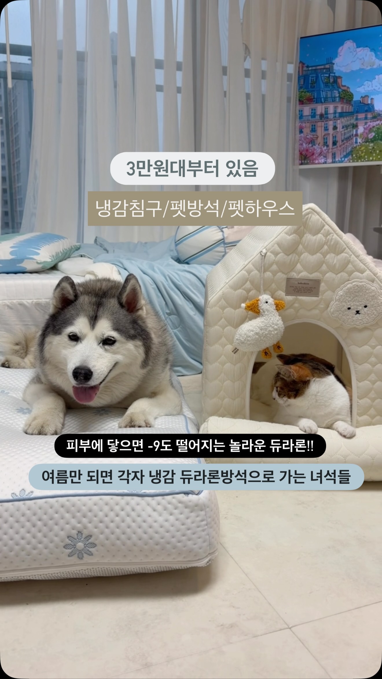베이킹 클래스
