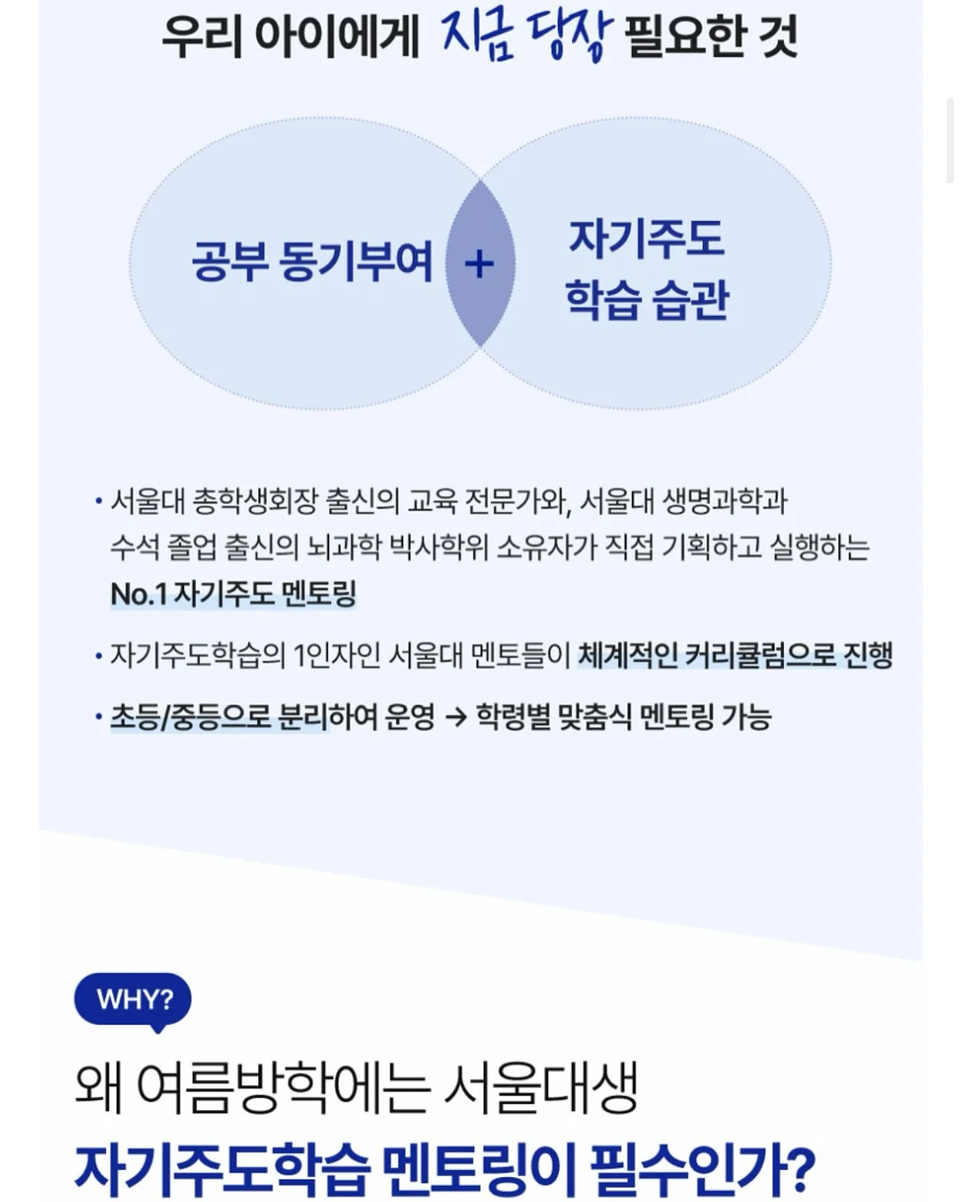 더바조 카프리 11