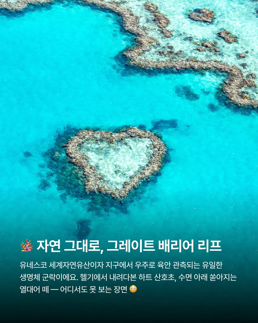 젤다의 전설 캐스트 퍼즐 2
