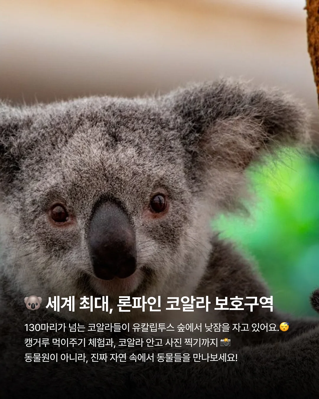 젤다의 전설 캐스트 퍼즐 5