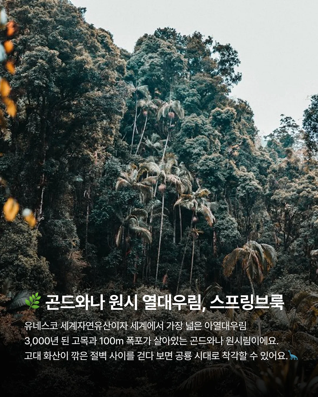 젤다의 전설 캐스트 퍼즐 6