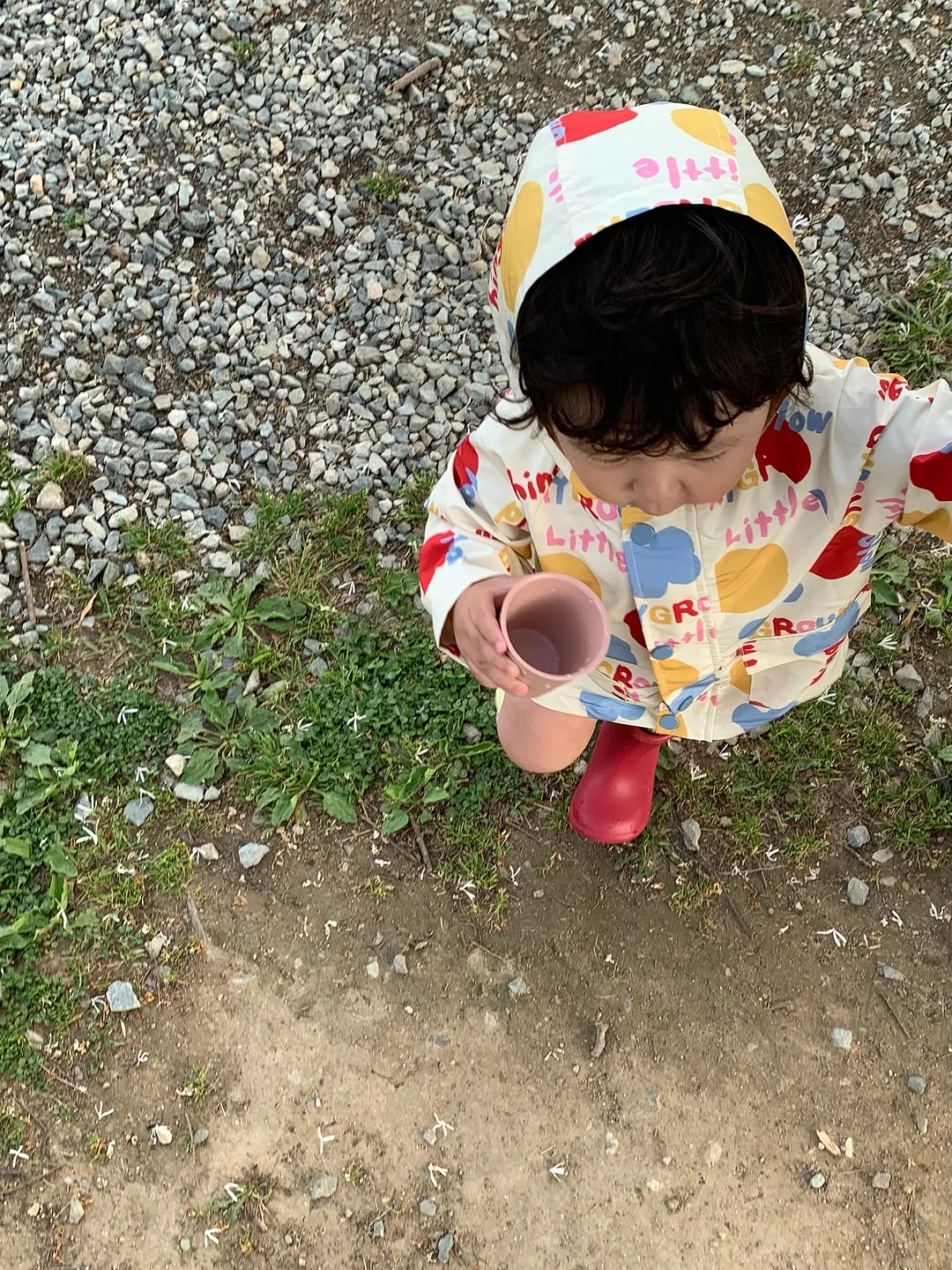 칼로볼 저당밥솥 3