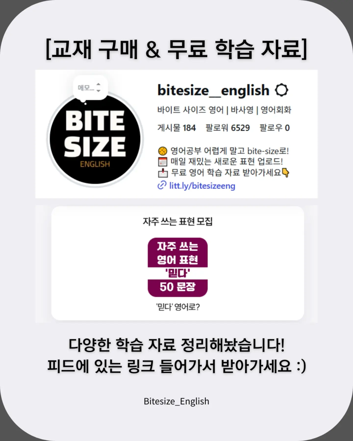 고양이 자동 사냥 장난감 13