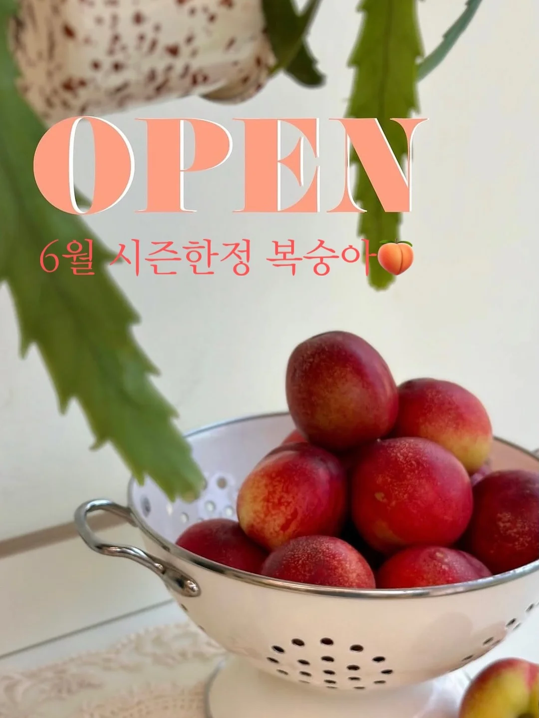 오리지널 코드 1