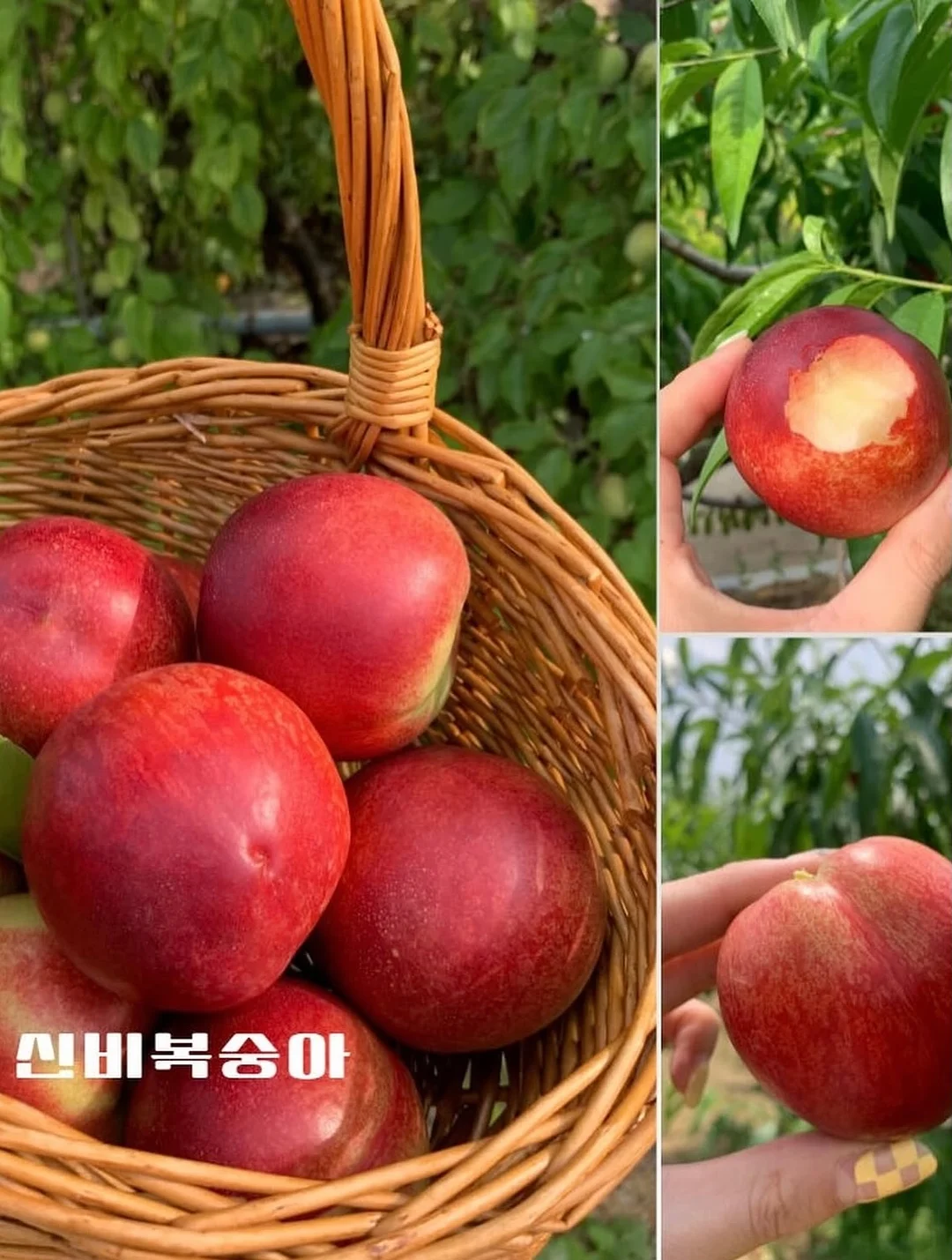 오리지널 코드 7