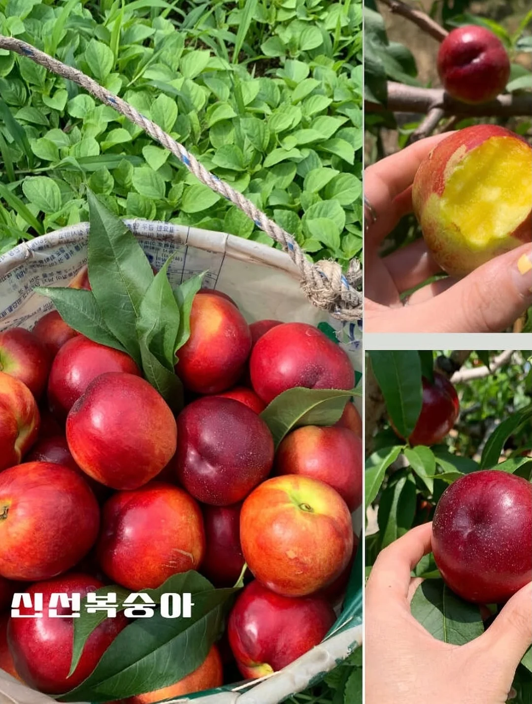 오리지널 코드 8