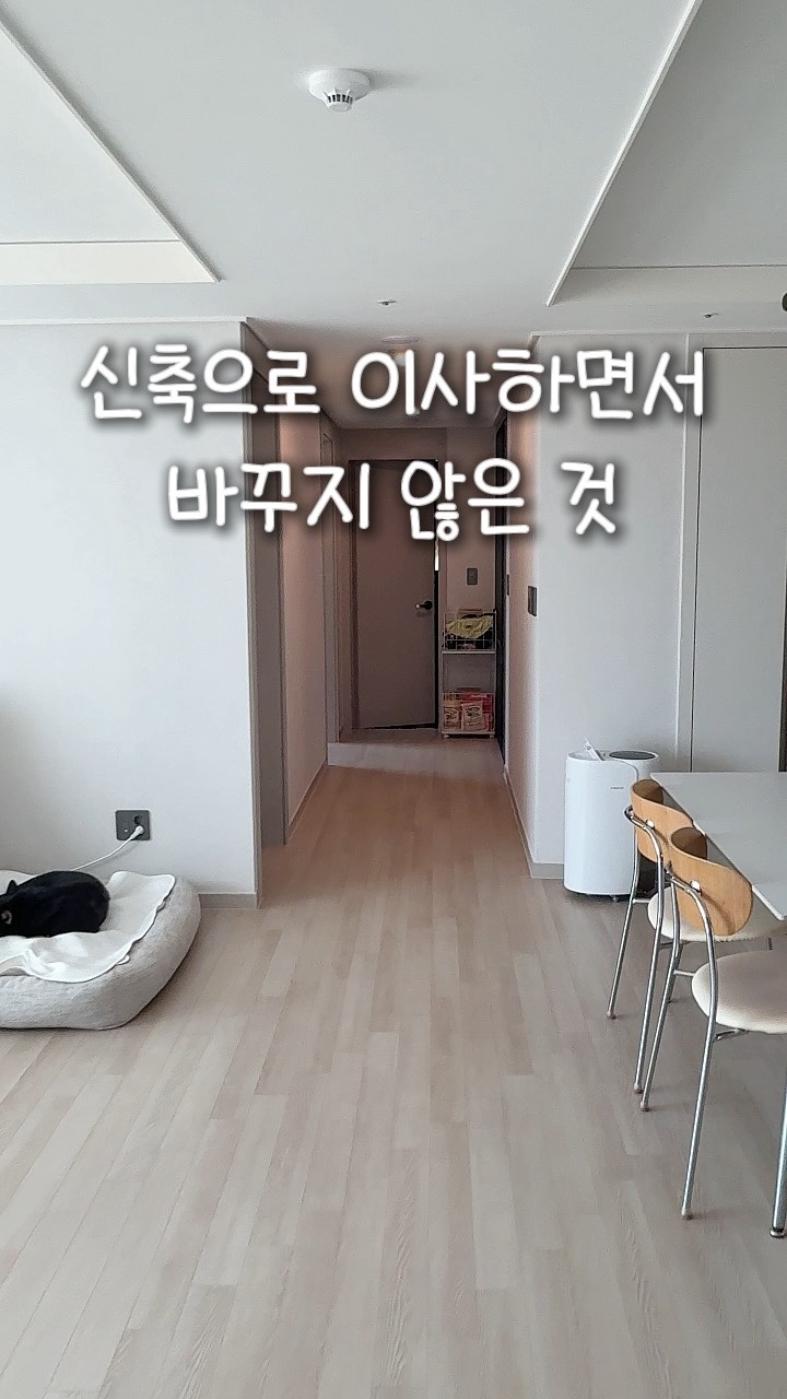 바디셀트 압박스타킹