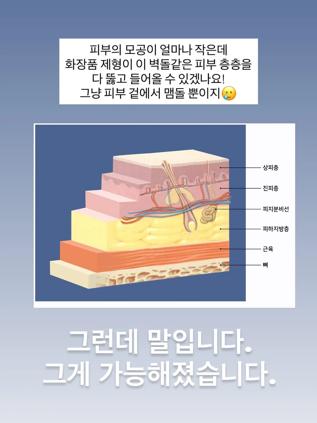 테무 쿠폰백 12