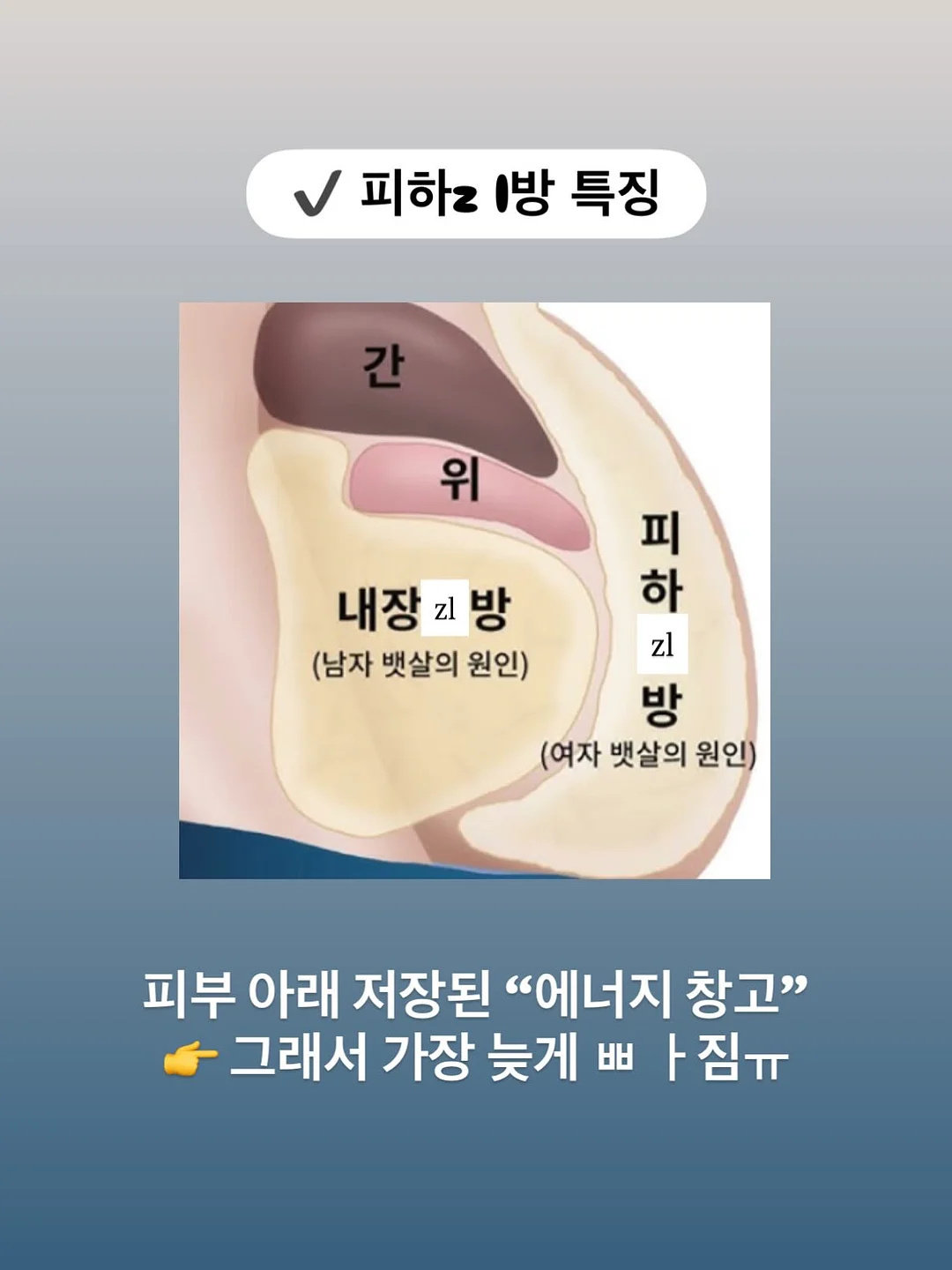 테무 쿠폰백 4