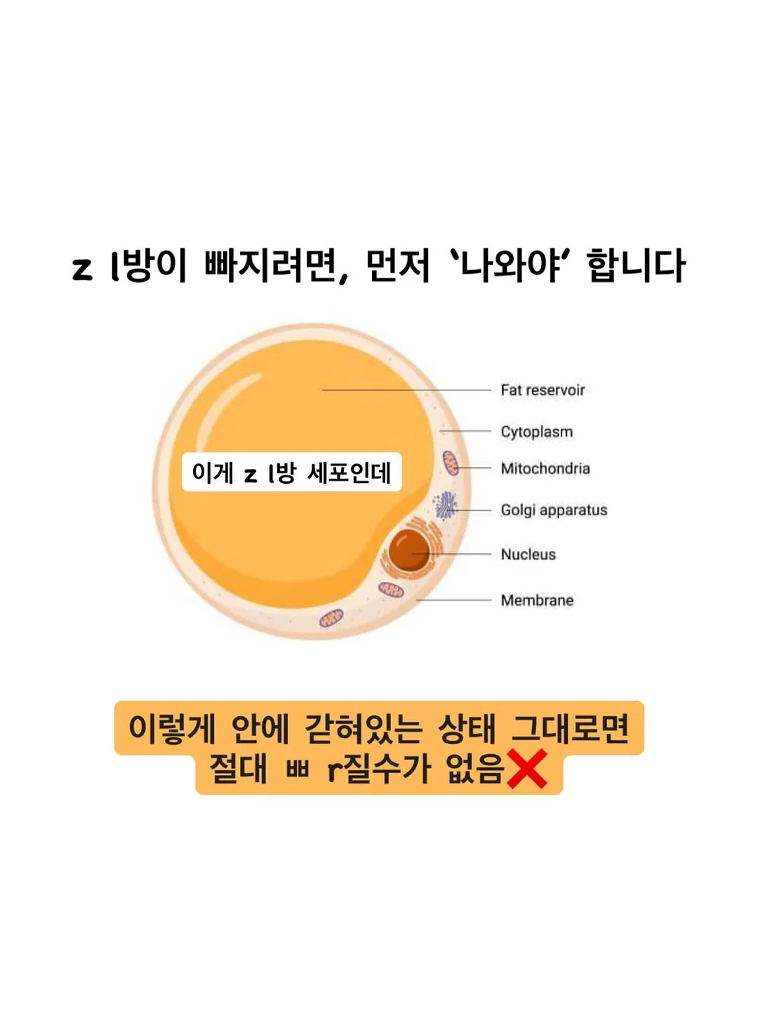 테무 쿠폰백 8