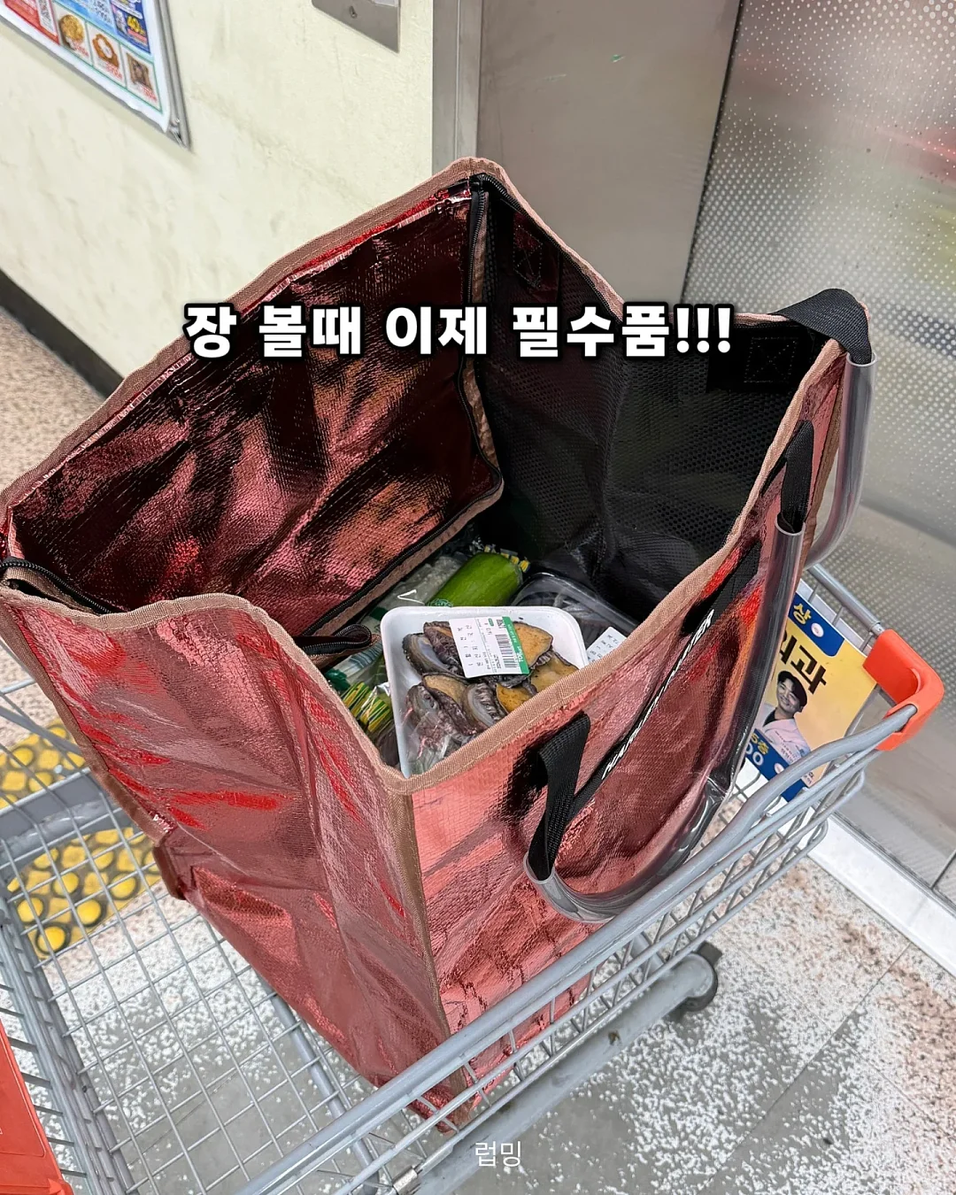 우유 푸딩 13