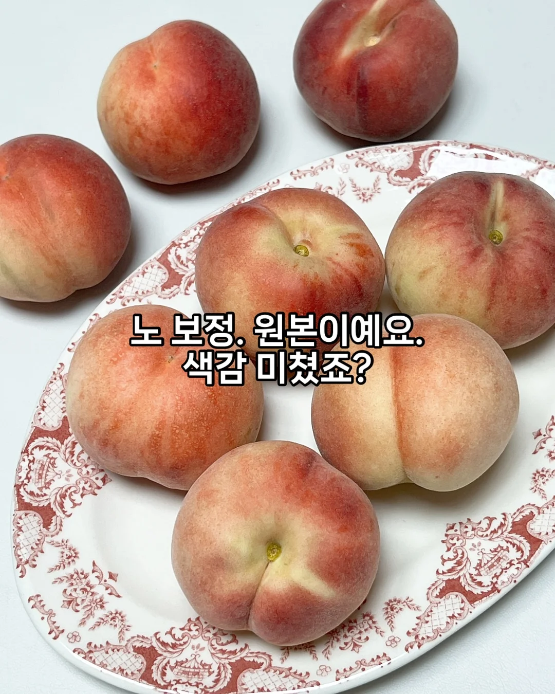 대형 오리발 모기장 3