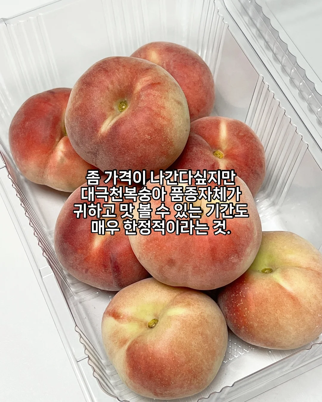 대형 오리발 모기장 6
