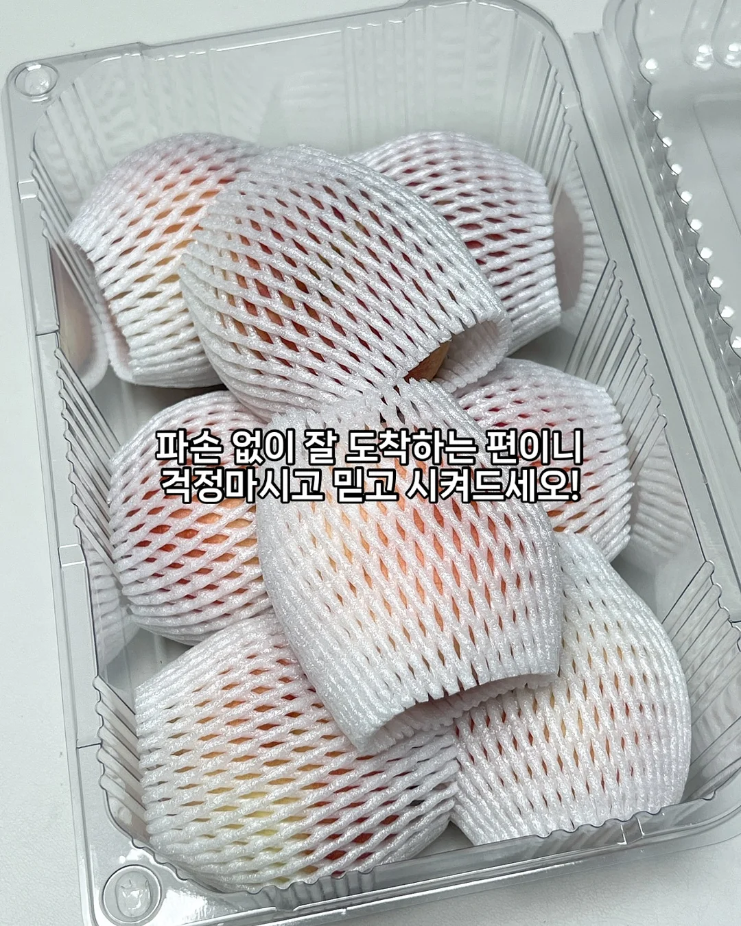 대형 오리발 모기장 7