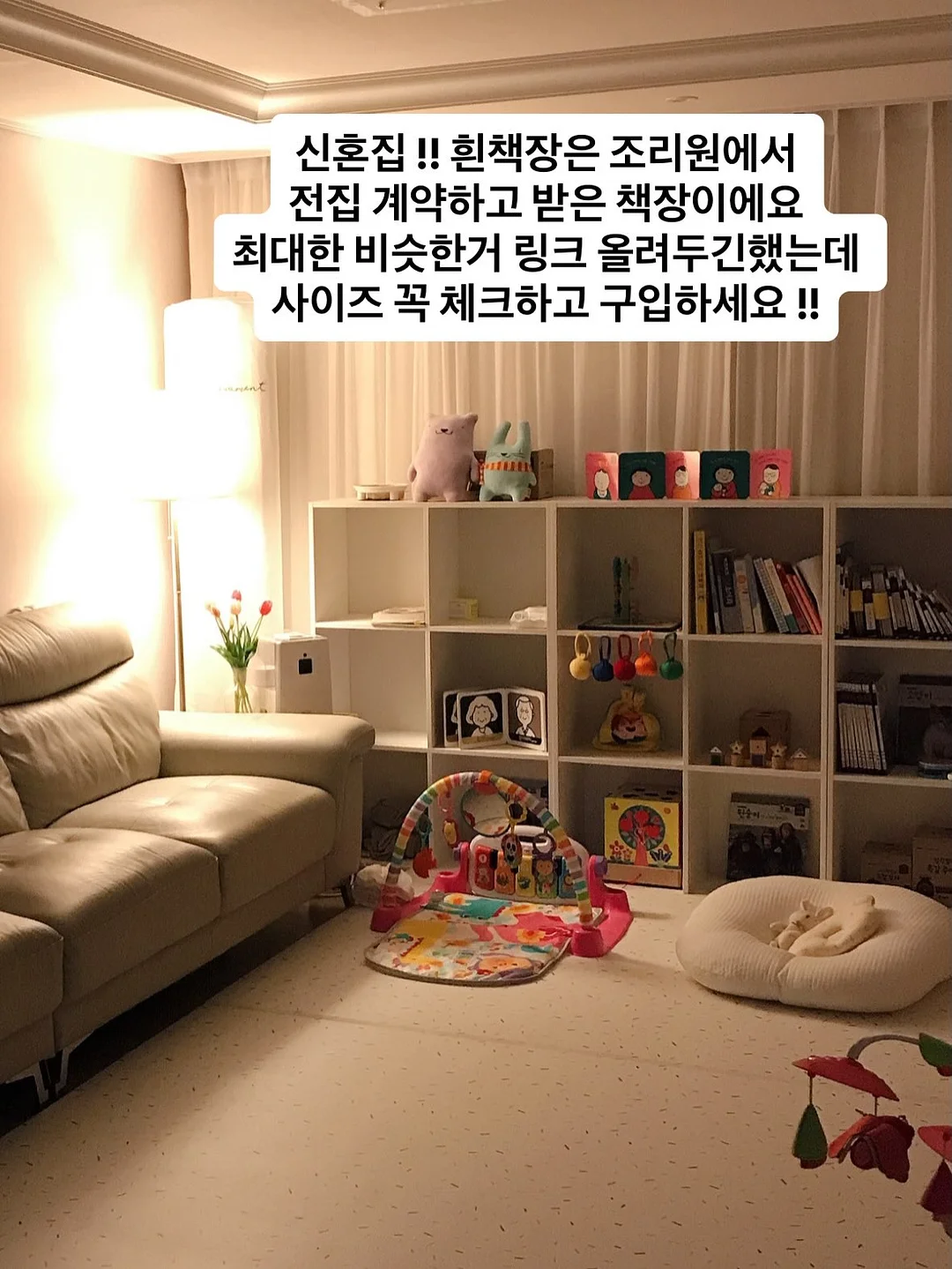 골지가디건 2