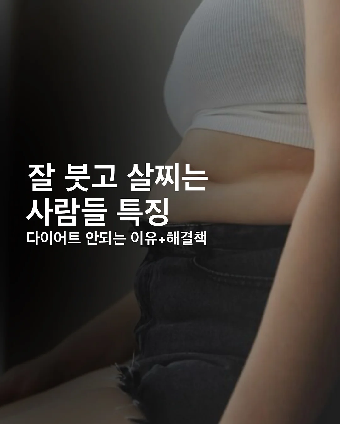 모던하우스 1