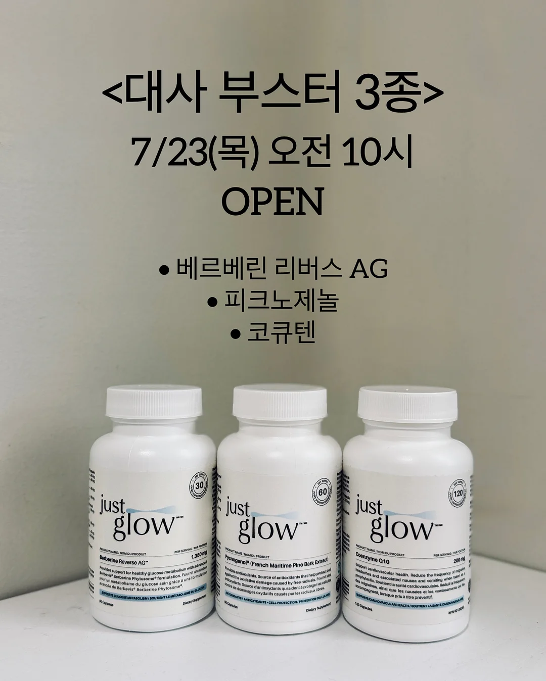 모던하우스 2