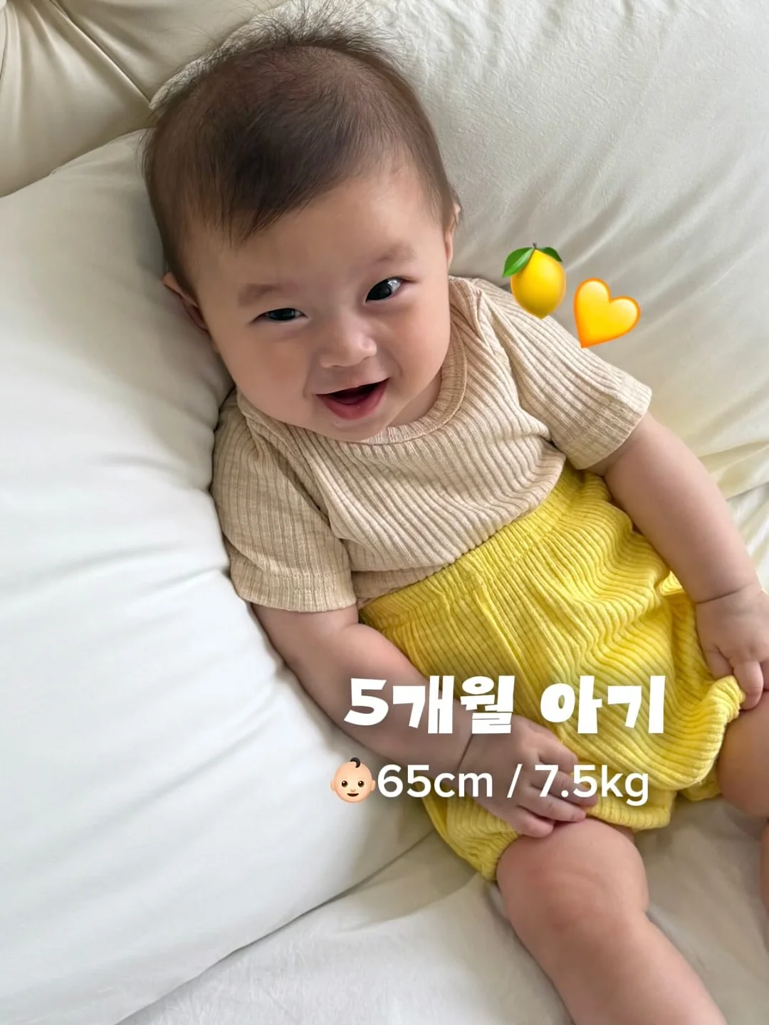 판초타올 5