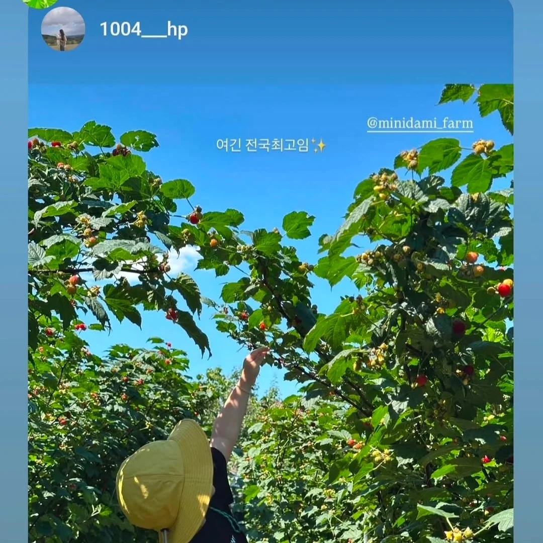슈퍼젝션 니코티노이드 9