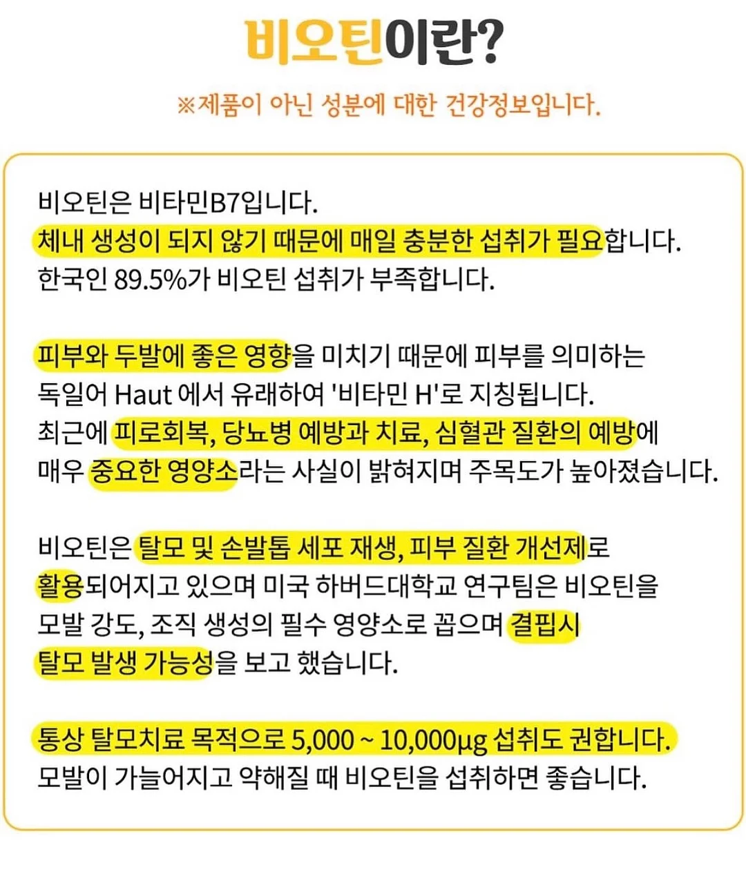 꽃다발 11