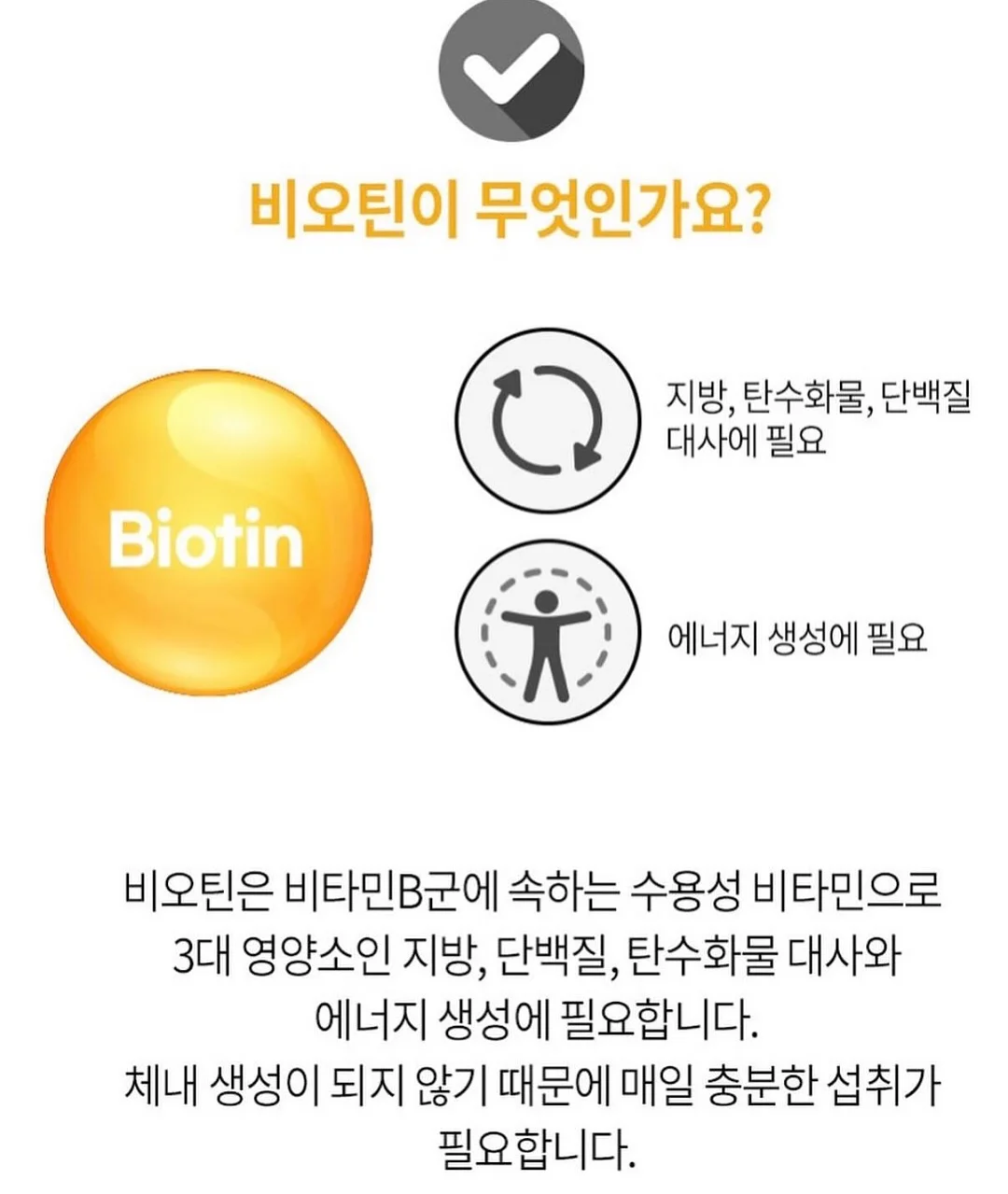 꽃다발 16