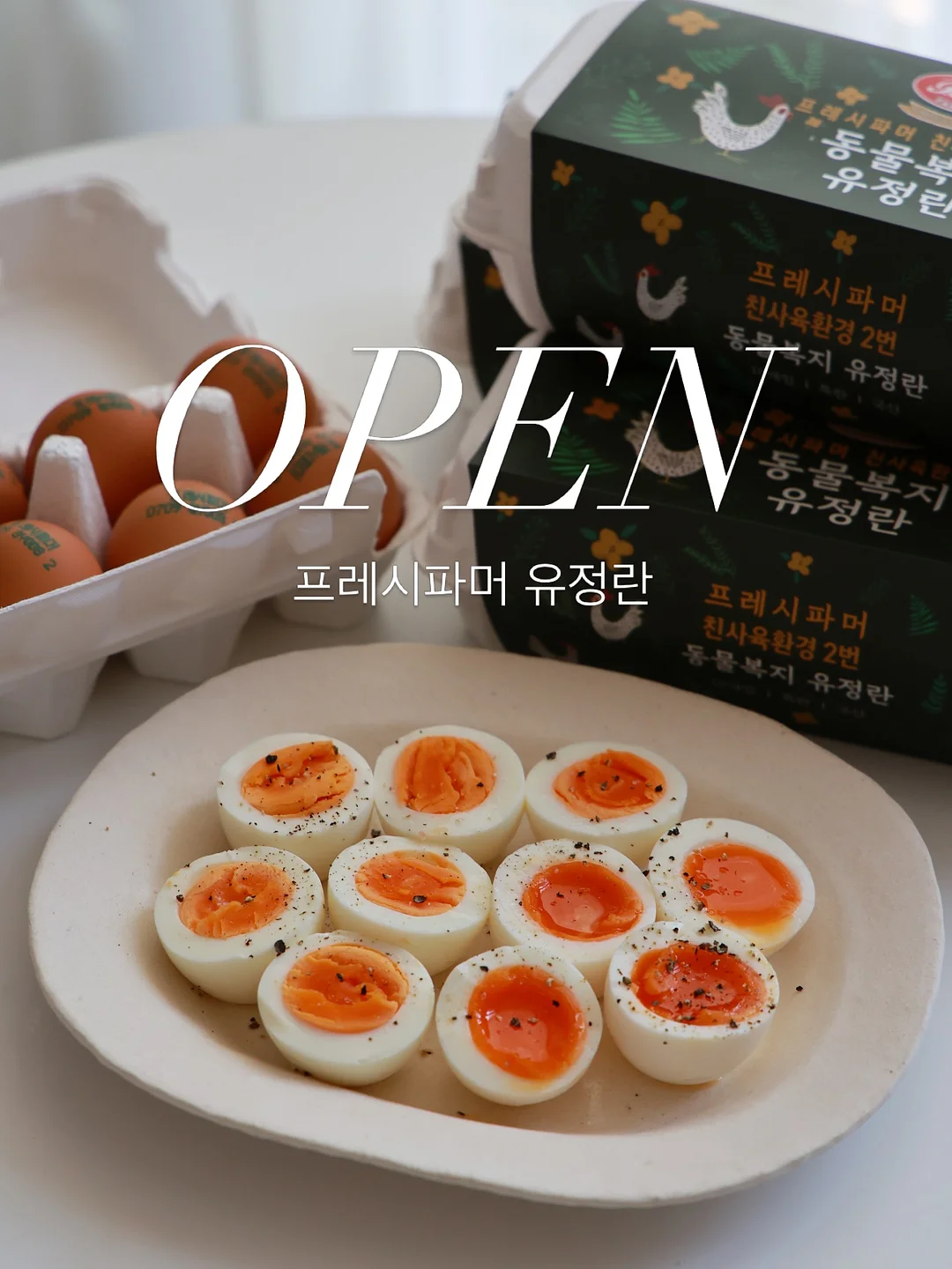 버뮤다 팬츠 1
