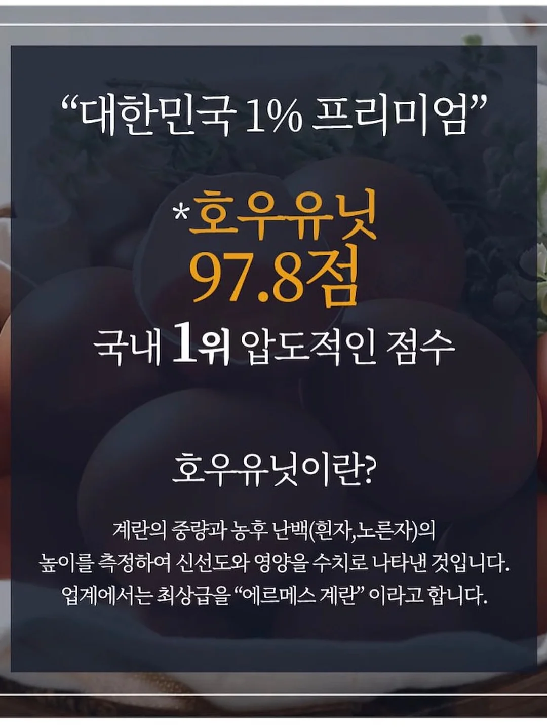 버뮤다 팬츠 2