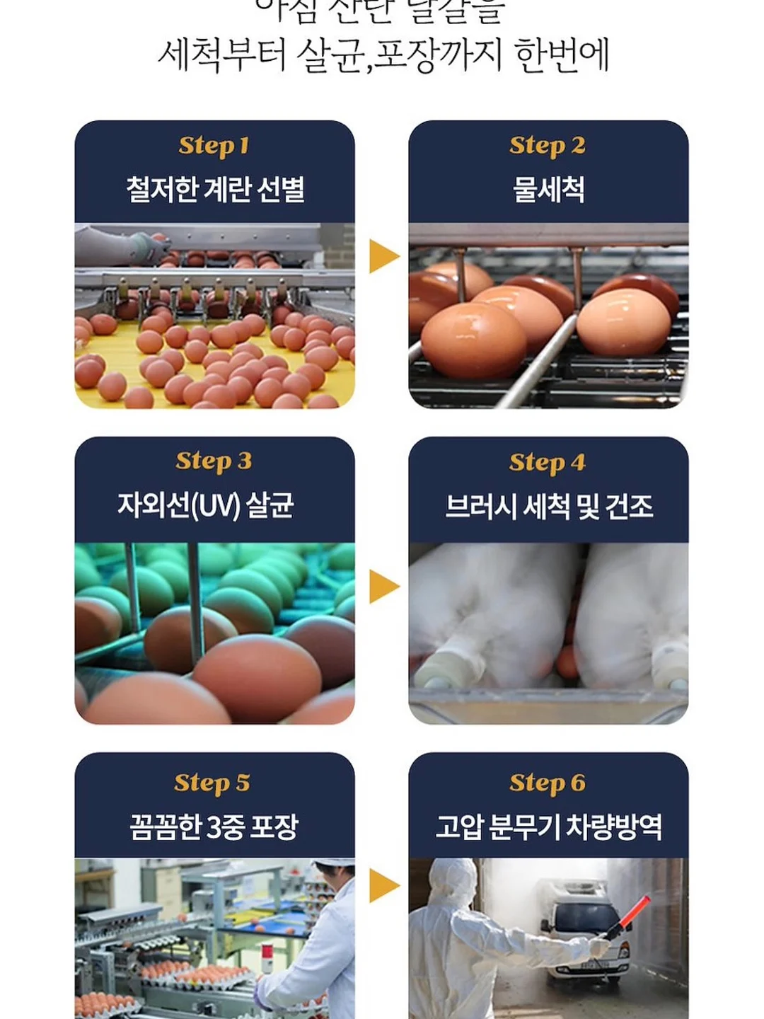 버뮤다 팬츠 3