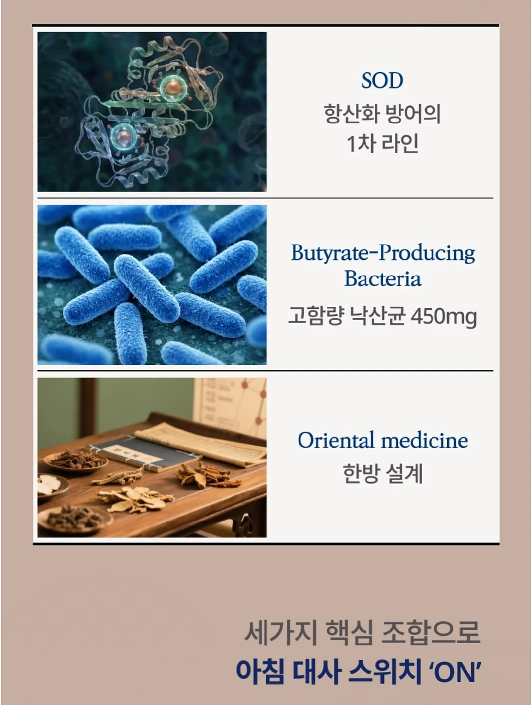 이너시아 생리대 10