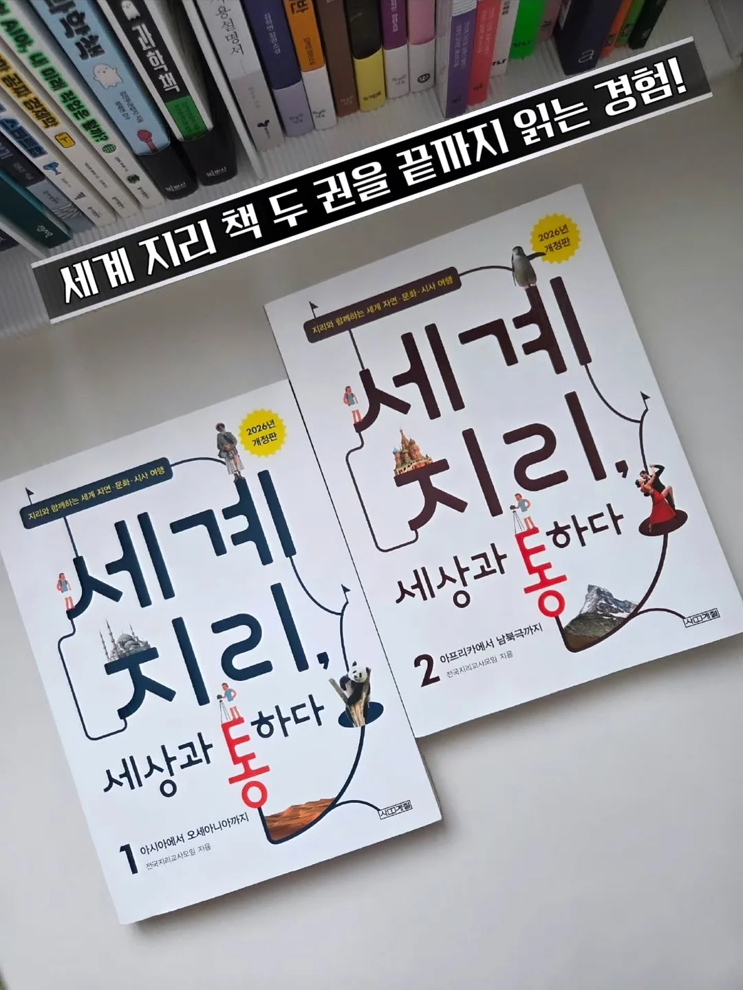 와이드 수세미 거치대 1