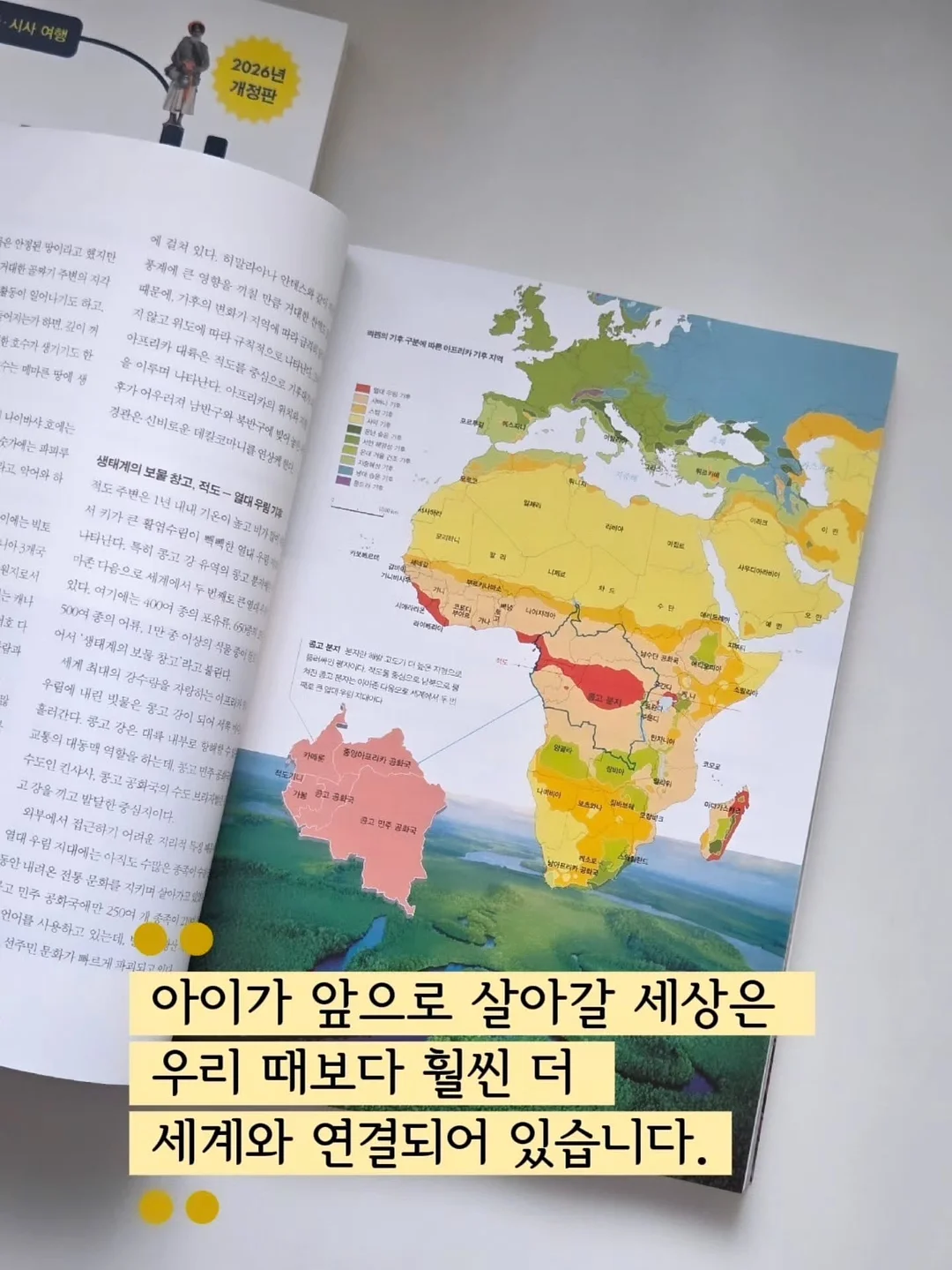 와이드 수세미 거치대 3