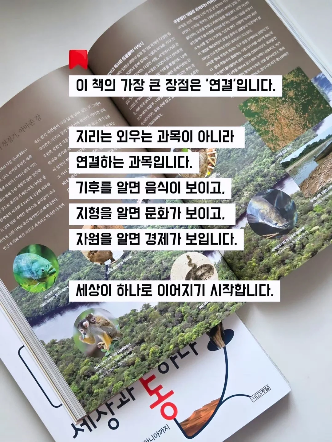 와이드 수세미 거치대 8